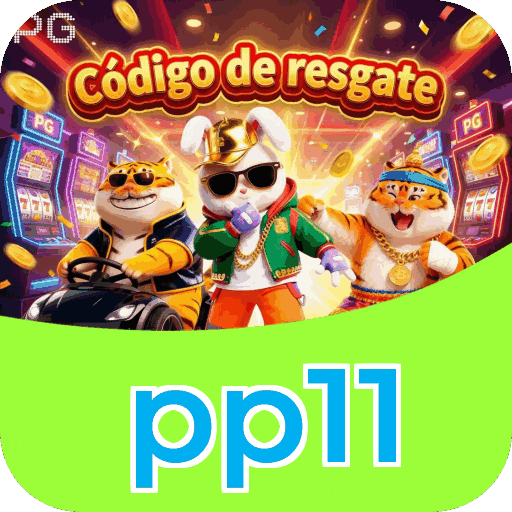 Métodos de pagamento aceitos na pp11